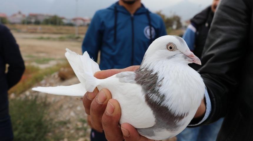 G&uuml;vercinler dostluk i&ccedil;in g&ouml;ky&uuml;z&uuml;ne salındı