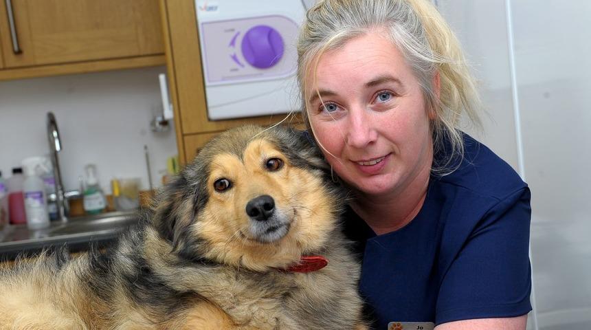 KKTC'de&nbsp;yaşayan İngiliz aile, 'hayvanlara eziyet'ten yargılanacak