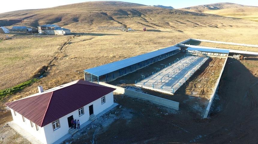 B&uuml;y&uuml;kşehir&rsquo;den Karayazı&rsquo;ya canlı hayvan pazarı