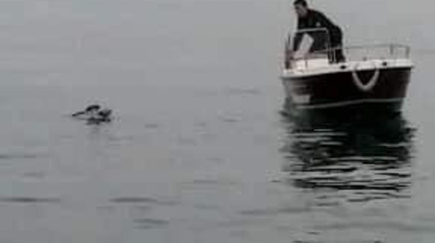 Balık&ccedil;ı ağlarına takılan martının imdadına polis yetişti