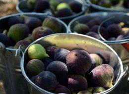 Kraliyet ailesine gidiyor! 42 ülkeye ihraç edildi