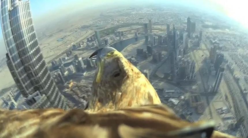 D&uuml;nyanın En Y&uuml;ksek G&ouml;kdeleninden Şahin &Uuml;zerinde Muhteşem İniş!