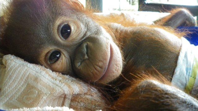 Böyle Vicdansızlık Görülmedi!