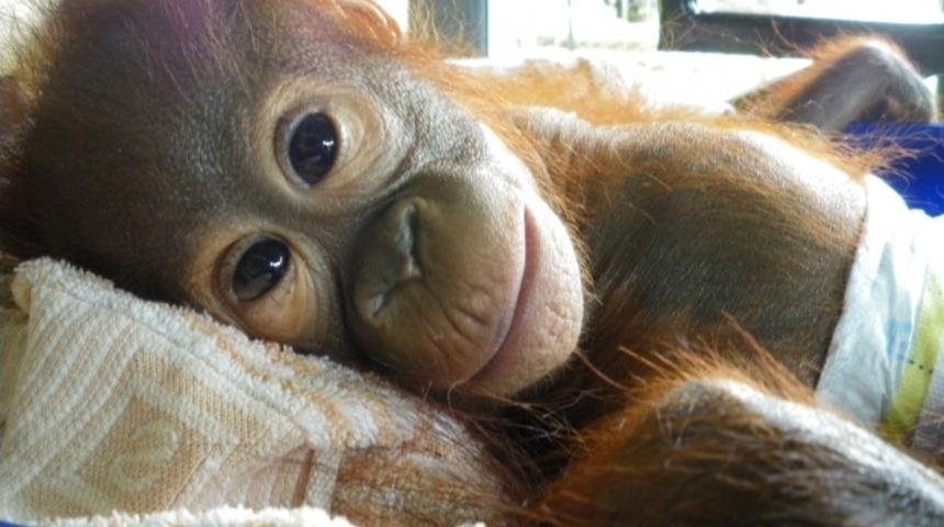 B&ouml;yle Vicdansızlık G&ouml;r&uuml;lmedi!