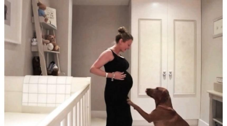 Hamile Kadın Her G&uuml;n&uuml;n&uuml; Kaydetti, Herkesi Ağlattı