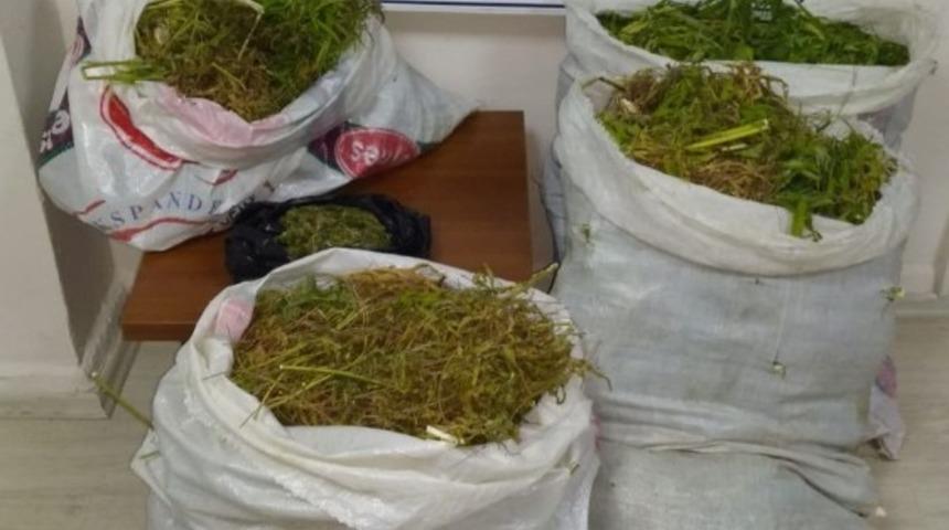 Fethiye&rsquo;de uyuşturucu operasyonu: 1 tutuklama