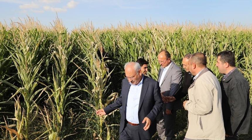 Kırıkkale&rsquo;de 20 dekarlık alana direkt ekim yapıldı