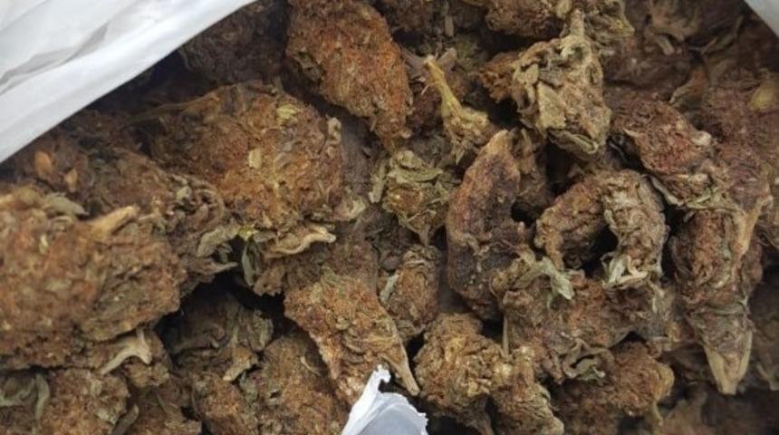 Yalova&rsquo;da "skunk" operasyonu