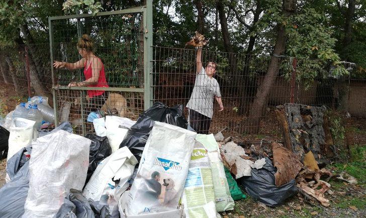 Hayvansever Nino’ya destek G2