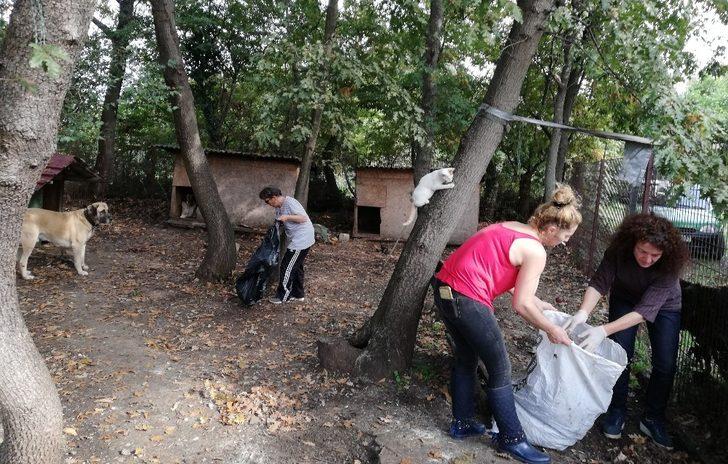 Hayvansever Nino’ya destek G4