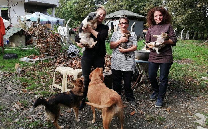 Hayvansever Nino’ya destek G5