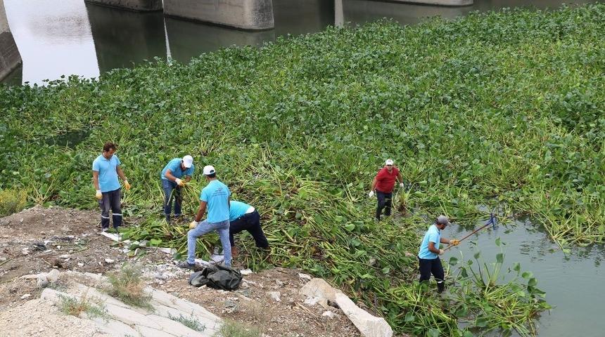 Asi Nehri temizleniyor