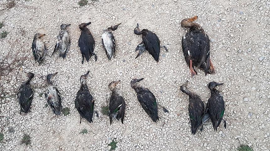 Korkuteli&rsquo;nde yakalanan ka&ccedil;ak avcılara ceza yağdı