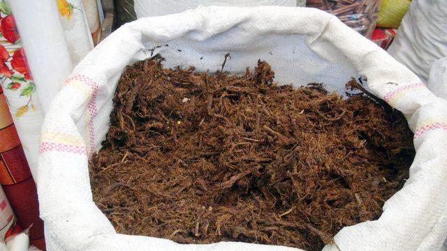 Meyan k&ouml;k&uuml; zekayı geriletiyor 3