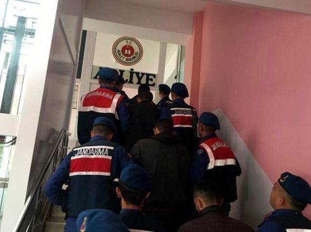 Kayseri’de küçükbaş hayvan hırsızlığı