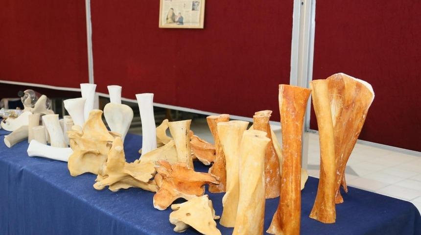 Aydın’da kemik üzerine minyatür sergisi