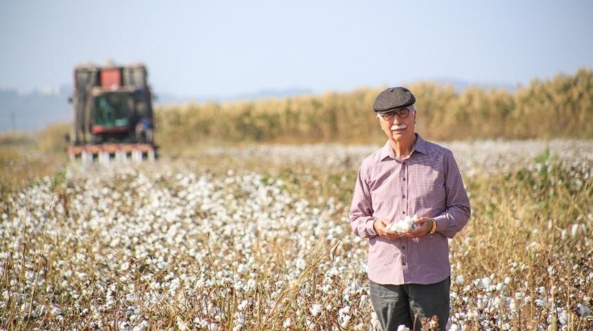 Milas’ta pamuk hasadının sonuna gelindi