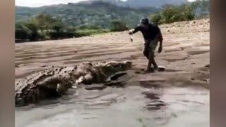 Dev timsahı eliyle besleyen adam