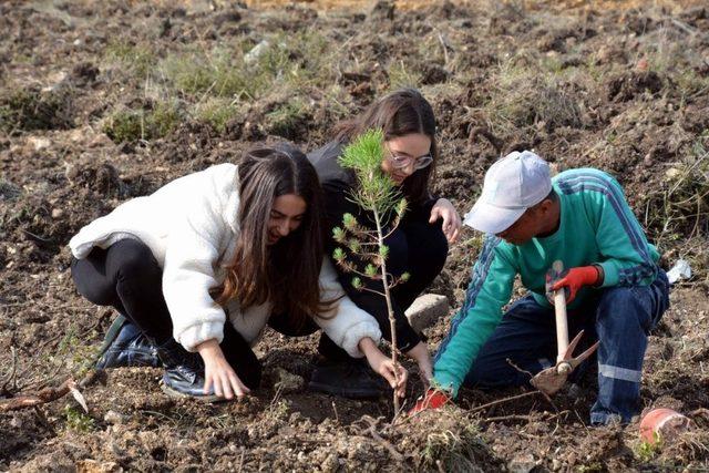 Aliağalı &ouml;ğrenciler fidan dikti 1