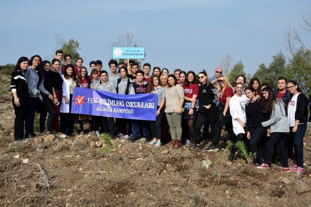 Aliağalı &ouml;ğrenciler fidan dikti 2