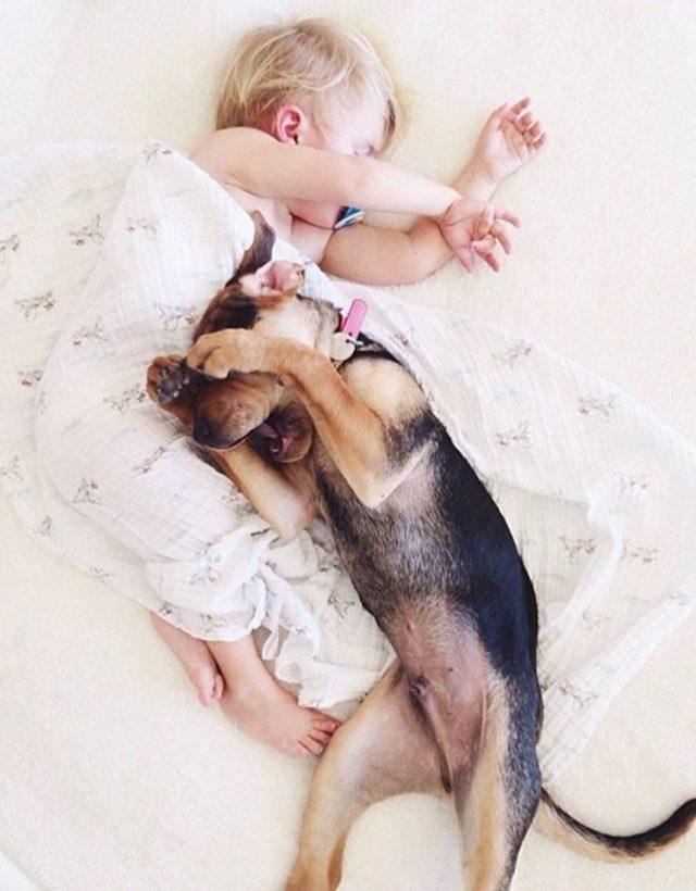 Русские мама собаками. Собака для детей. Щенки с мамой. Спящие дети с собаками.