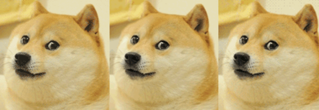 Мем собака гиф. Танцующий doge gif. Доги мем. Мем собака гиф. Мем собака гиф.