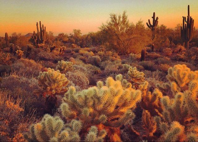 iPhone 6 İle &Ccedil;ekildiğine İnanamayacağınız Birbirinden G&uuml;zel 30 Fotoğraf 8