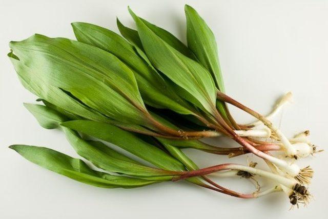 Sihirli Mantarların Çıktığını Gösteren 20 İşaret 10