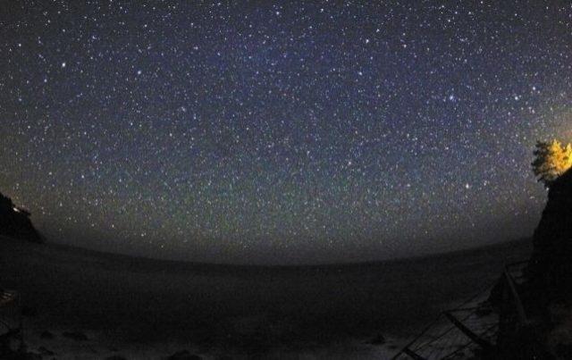 Sihirli Mantarların Çıktığını Gösteren 20 İşaret 16