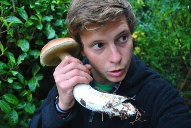 Sihirli Mantarların Çıktığını Gösteren 20 İşaret 18