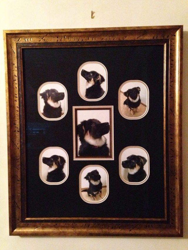 Ailelerin &Ccedil;ocuklarını Trollemek İ&ccedil;in Yaptığı 15 Şey 9