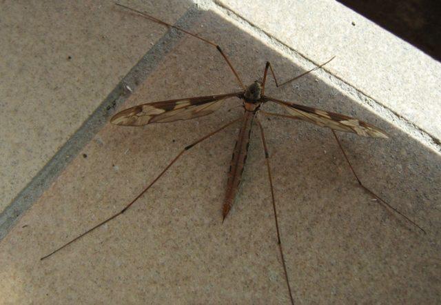 Sabancı &Uuml;niversitesi Yurtları İle İlgili Efsane Sanılan 10 Ger&ccedil;ek 6