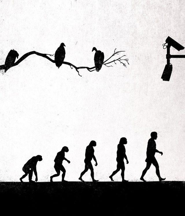 Evrimi Kullanarak İnsanı Anlatan 35 D&uuml;ş&uuml;nd&uuml;r&uuml;c&uuml; G&ouml;rsel... 8