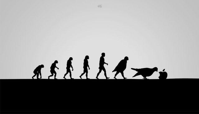 Evrimi Kullanarak İnsanı Anlatan 35 D&uuml;ş&uuml;nd&uuml;r&uuml;c&uuml; G&ouml;rsel... 17