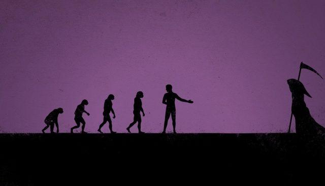 Evrimi Kullanarak İnsanı Anlatan 35 D&uuml;ş&uuml;nd&uuml;r&uuml;c&uuml; G&ouml;rsel... 27