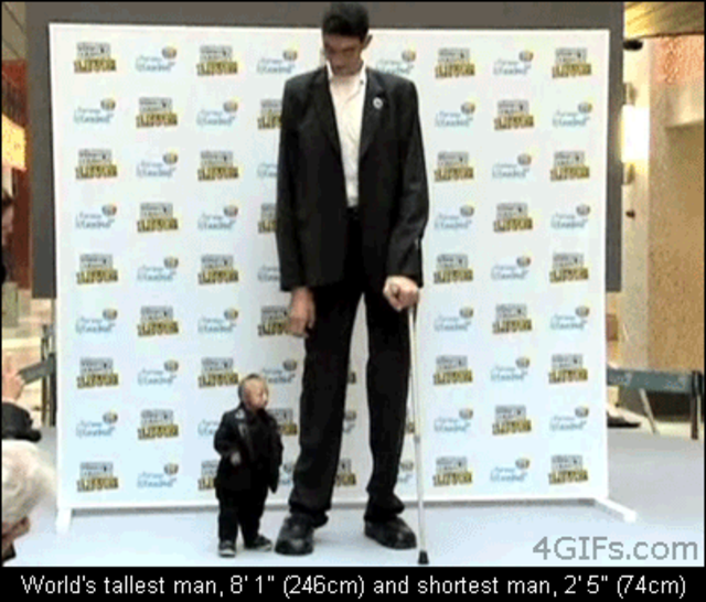 Самый высокий человек. Самый высокий человек и самый маленький. Самый маленький и самый большой человек в мире. Самый маленький человек в мире. Маленькие люди связали большого человека