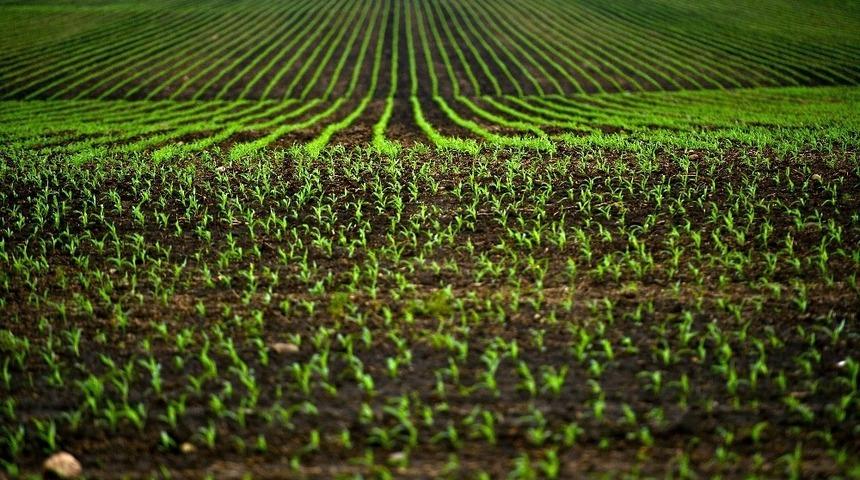 İncefikir: “Toprak analizi rekolteyi arttırıp, giderleri azaltır”
