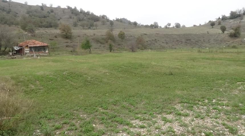 Jandarma, faili me&ccedil;hul hırsızlığı aydınlattı