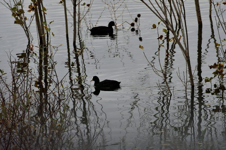 Eşsiz güzellik! Doğa fotoğrafçıları buraya akın etti G3