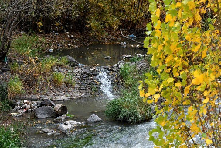 Eşsiz güzellik! Doğa fotoğrafçıları buraya akın etti G4