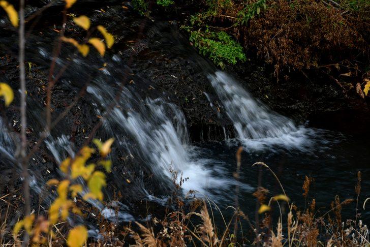 Eşsiz güzellik! Doğa fotoğrafçıları buraya akın etti G5