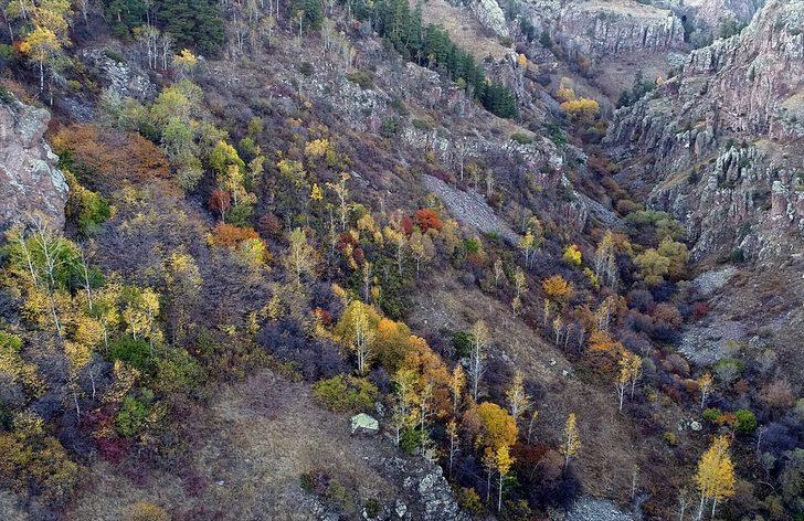 Eşsiz güzellik! Doğa fotoğrafçıları buraya akın etti G1