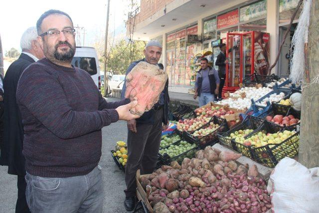 Şeker pancarının bir kökü 8 kiloya ulaştı