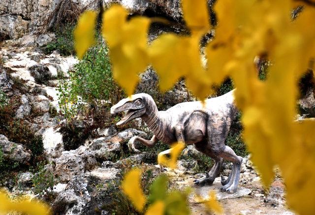 Sivas ta mesire alanında sonbahar g&uuml;zelliği 1