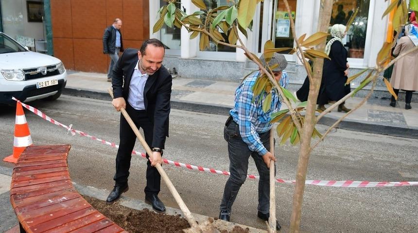 &Uuml;nye caddelerine manolya