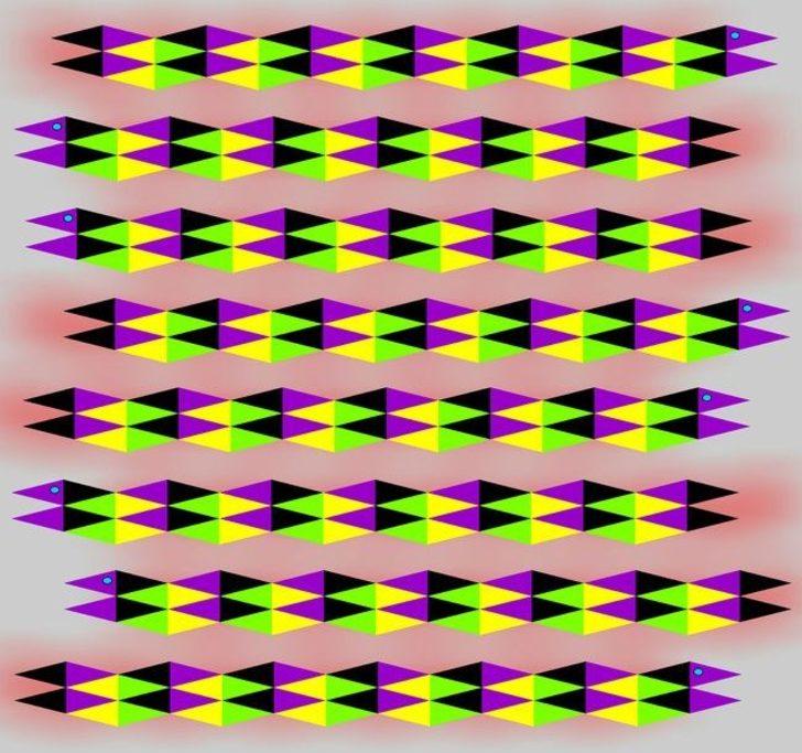 Resimdeki gizli detayı görebildiniz mi?  G5