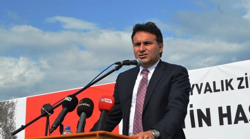 Anıt zeytin ağa&ccedil;ları tespit edilip koruma altına alınacak