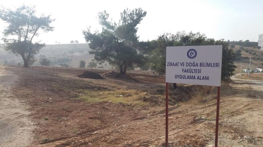 22 dekarlık alanda deneme &ccedil;alışmaları başladı