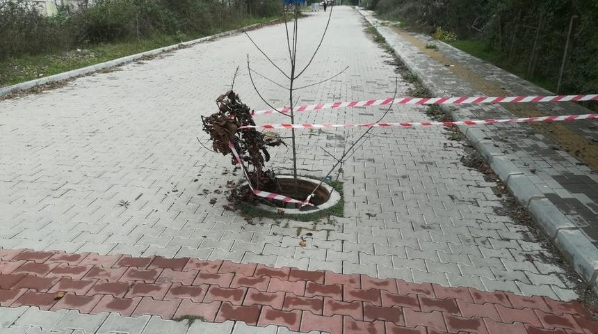 18 yaşındaki hırsız yakalandı