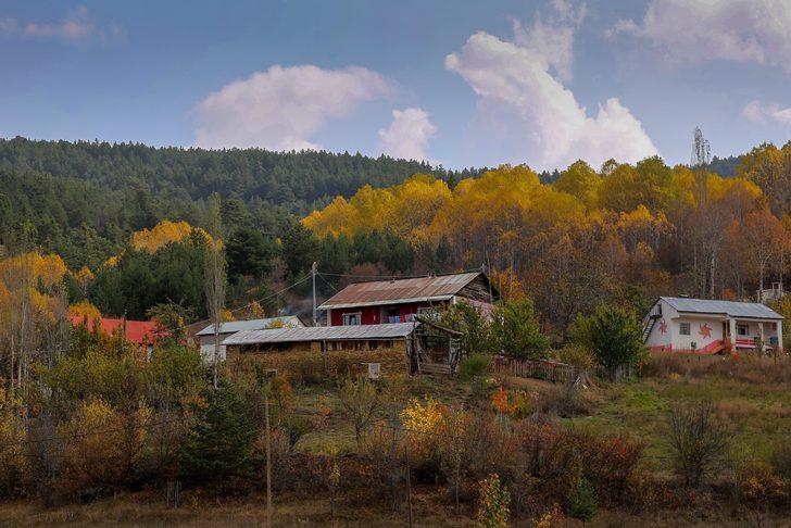 Duyan görmek için oraya koşuyor! Türkiye'de sadece 3 bölgede var G1